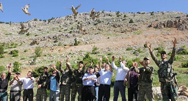 Avcı dernekleri Avcı dernekleri