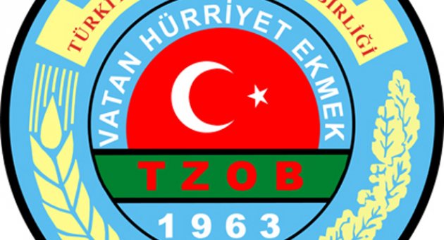 2015 Uluslararası Toprak Yılı…