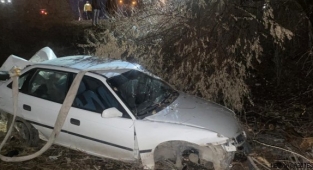 Kahramanmaraş'ta otomobil şarampole uçtu: 5 yaralı