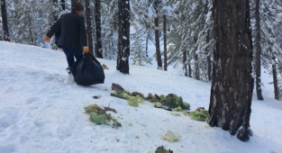 Kahramanmaraş’ta yaban hayvanları için doğaya yem bırakıldı