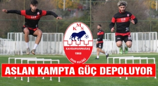 Aslan Kampta Güç Depoluyor