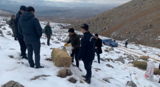 Jandarma doğa hayvanlarını unutmadı