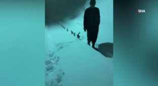 Kahramanmaraş’ta hayvan sevgisi yürekleri ısıttı