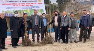 ONİKİŞUBAT İLÇESİNDE CEVİZ FİDANI DAĞITIMI GERÇEKLEŞTİRİLDİ…