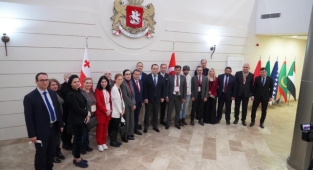 Gürcü gazeteciler mutlu döndüler