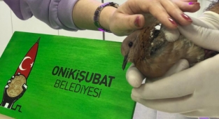‘Her can bizim için kıymetlidir’
