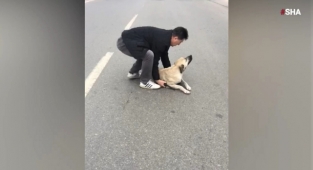 Yaralı köpeğe polis şefkati
