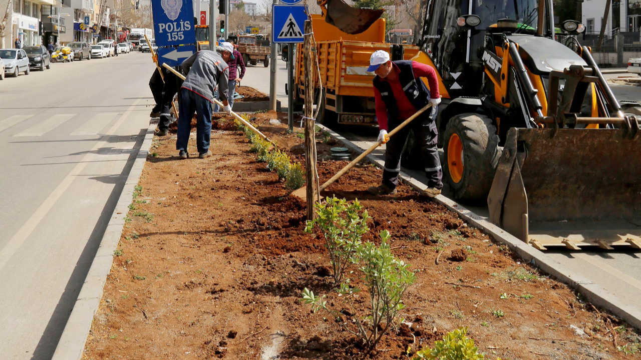Cadde ve Bulvarlar Bitkilerle Donatılıyor