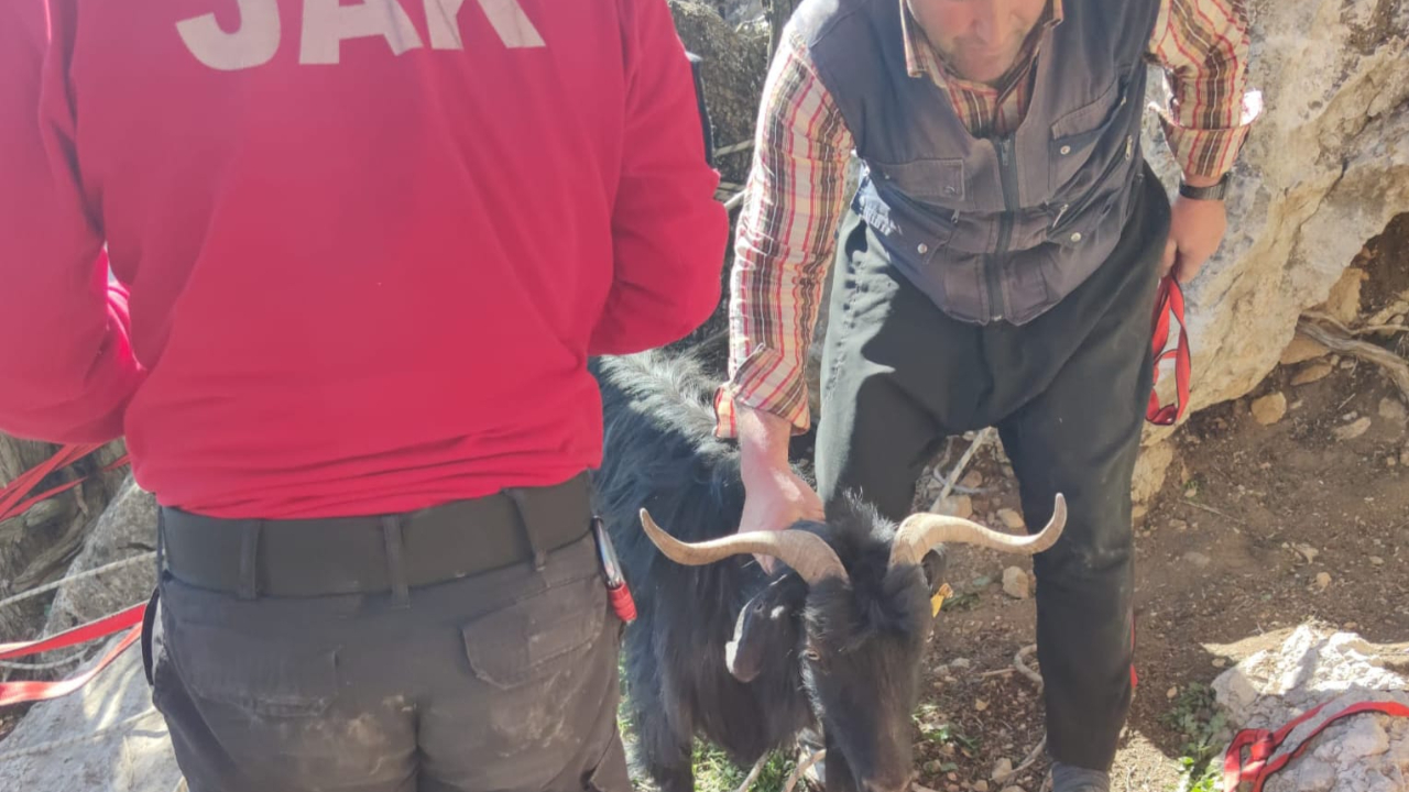 Kahramanmaraş’ta keçi kurtarma operasyonu