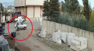 Sosyal medyadaki tepkiler üzerine çalınan köpek bulundu