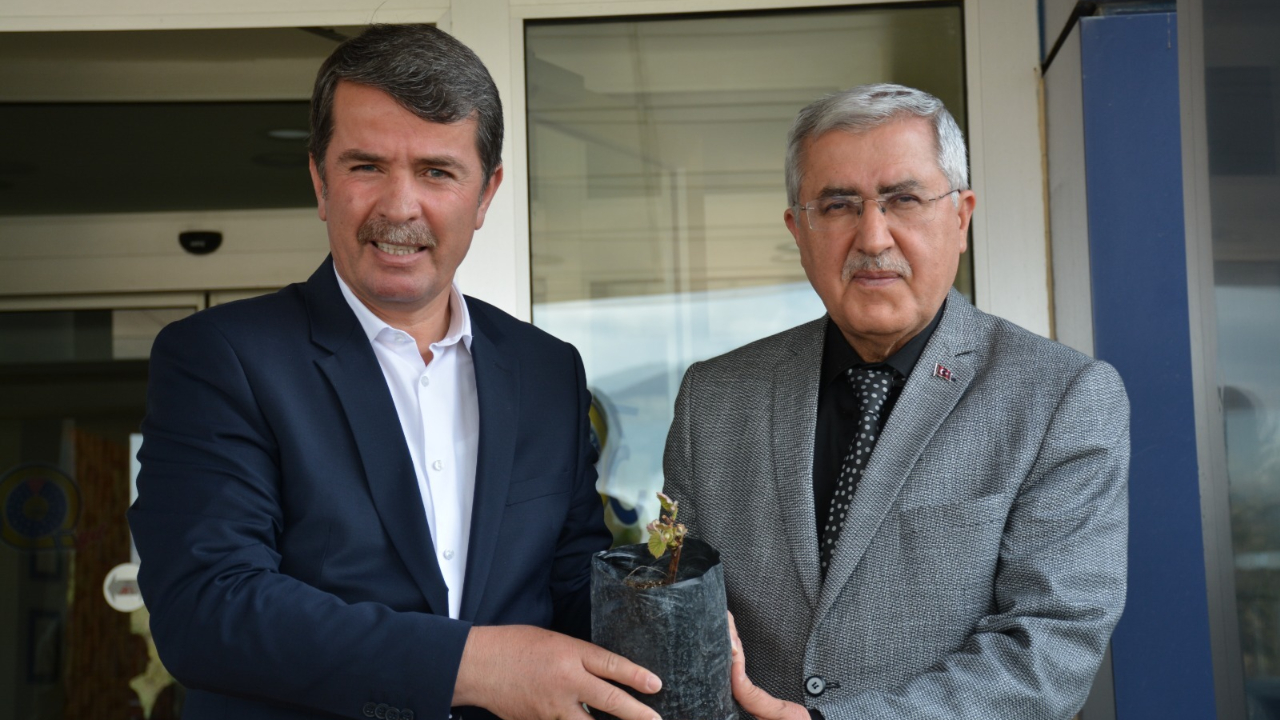 Üniversitemiz ve Türkoğlu Belediyesi İşbirliğiyle Bölge Tarımına Katkı Sağlayacak Labrusca Üzüm Yetiştiriciliği Çalışmalarına Başlandı