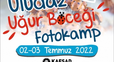 Kafsad Uludaz Uğur Böceği Foto Kamp'22