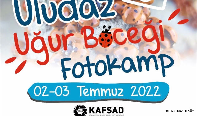 Kafsad Uludaz Uğur Böceği Foto Kamp'22