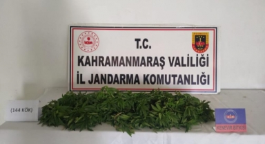 Kenevir yetiştirmek için damlama sulama sistemi kurdu yakalandı