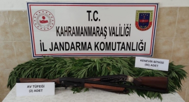 -Evinde kenevir yetiştirdi gözaltına alındı