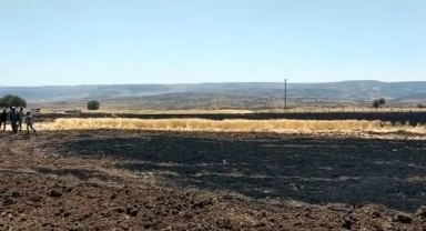 Kahramanmaraş’ta 8 dönüm buğday tarlası yandı