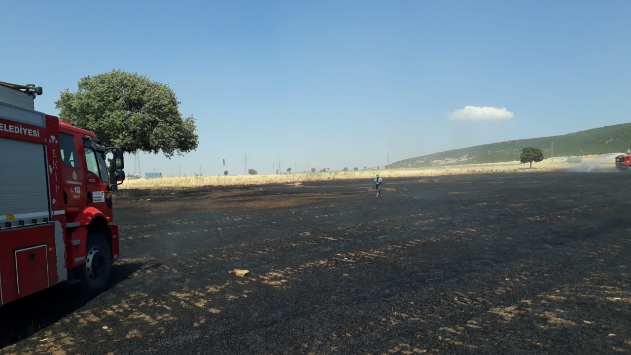 Kahramanmaraş’ta buğday tarlası kül oldu