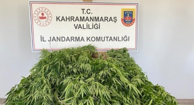 Afşin’de uyuşturucu operasyonu : 1 gözaltı