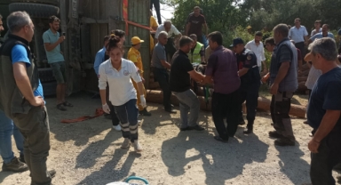 -Kahramanmaraş’ta tomruk yüklü kamyon devrildi: 1 ölü 2 yaralı