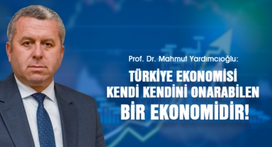Yardımcıoğlu: Türkiye Ekonomisi Kendi Kendini Onarabilen Bir Ekonomidir