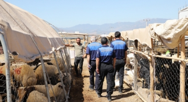 ZABITA EKİPLERİNDEN KURBAN SATIŞ YERLERİNDE DENETİM