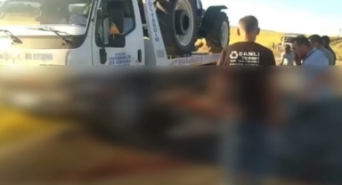 Kahramanmaraş’ta çekici koyun sürüsüne çarptı