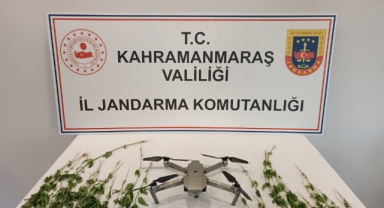 Kahramanmaraş’ta mısır tarlasında kenevir operasyonu