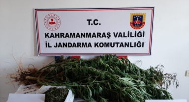Pazarcık’ta uyuşturucu operasyonu