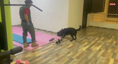 Kahramanmaraş’ta spor salonunda uyuşturucu operasyonu