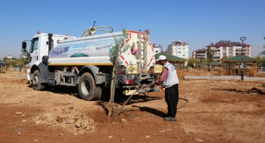 Afşin Millet Bahçesi Yeşilleniyor