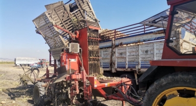 Kahramanmaraş’ta 14 bin 500 ton şeker üretimi