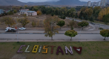 Elbistan, kasımpatı çiçekleri ile renklendirildi