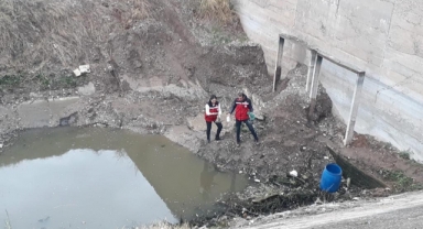 Kahramanmaraş'ta balık ölümlerinin nedeni belli oldu