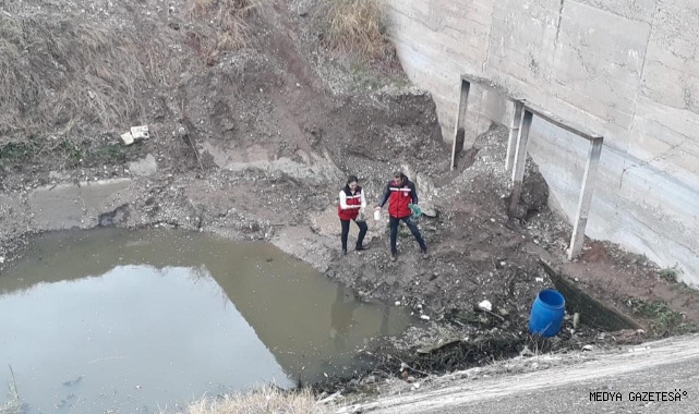 Kahramanmaraş'ta balık ölümlerinin nedeni belli oldu