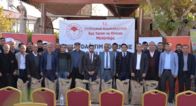 NOHUT DAĞITIMI