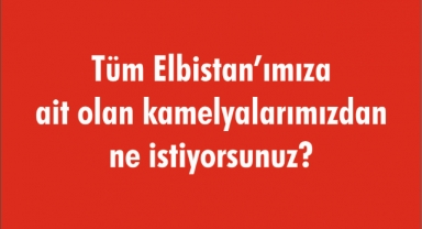 Tüm Elbistan’ımıza ait olan kamelyalarımızdan ne istiyorsunuz?