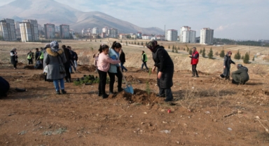 Babalarının hatırasını, diktikleri fidanlarda yaşatacaklar