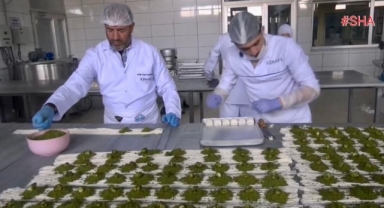 Dondurma külahıyla başlayan başarı hikayesi