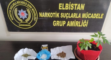 Elbistan’da saksıda uyuşturucu yetiştirdiler tutuklandılar