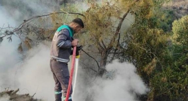 Kahramanmaraş’ta ormanı yaktı tutuklandı