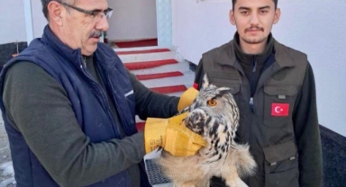 Kahramanmaraş’ta yaban hayatı onlara emanet