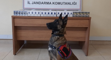 Pazarcık’ta 470 paket kaçak sigara ele geçirildi