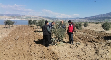 Kahramanmaraş’ta depremzede çiftçilerin tarla mesaisi başladı