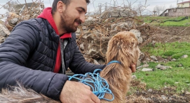 Kınalı keçi 47'nci günde enkazdan sağ çıktı