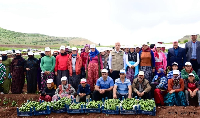 Başkan Güngör; “Tarımsal Üretimimizi Artıracağız”
