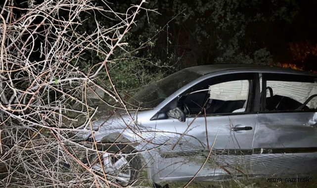 Göksun’da otomobil tarlaya uçtu: 2 yaralı