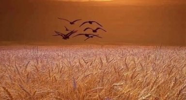 EY ŞEHİR İNSANI! ZİNDANDA GEÇTİ ÖMRÜN.