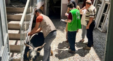-İHH’dan depremde yetim kalan ailelere canlı kurban bağışı