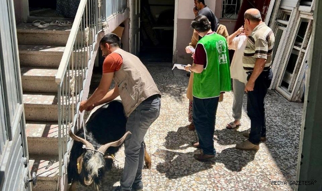 -İHH’dan depremde yetim kalan ailelere canlı kurban bağışı
