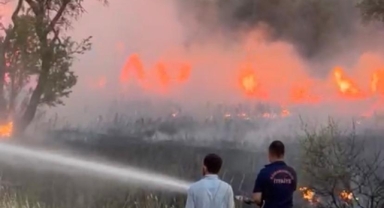 Kahramanmaraş’ta izmarit yangını korkuttu